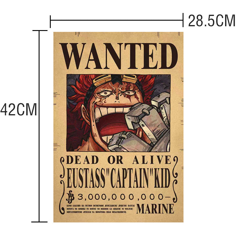 Affiche One Piece Wanted